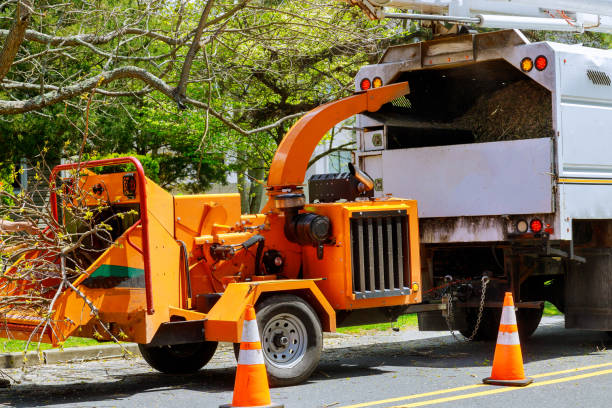 Best Commercial Tree Services  in Spanay, WA